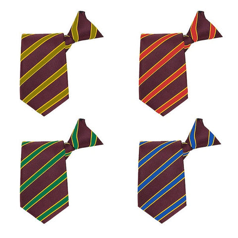 Braunton Academy House Ties