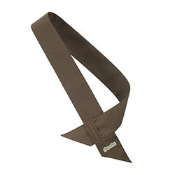 Brownies Sash